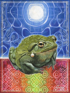 Toad of Rebirth (bufo Alivarius)